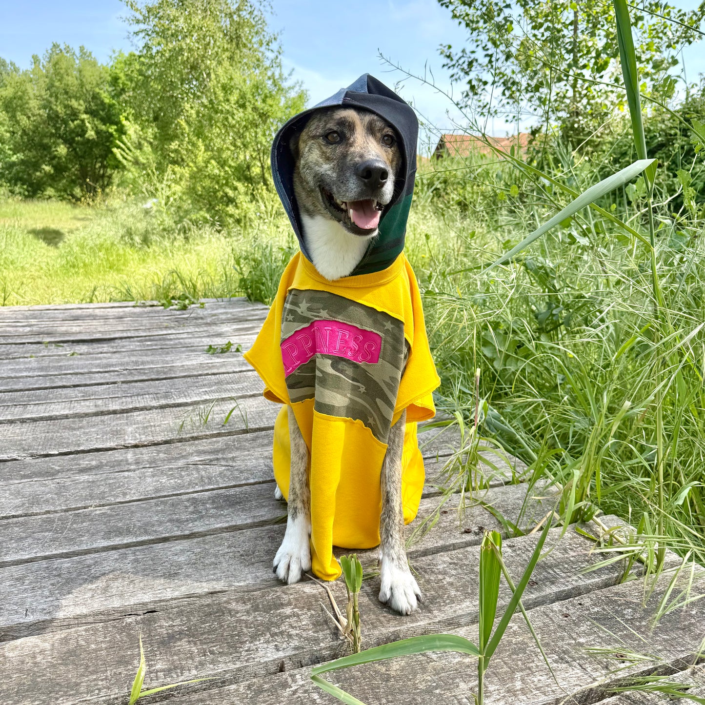 Dog Hoodie DON’T WORRY BE HAPPY — Size L/XL