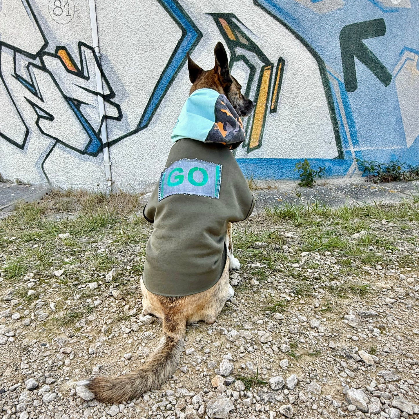 Dog Hoodie MOGLI — Size L/XL