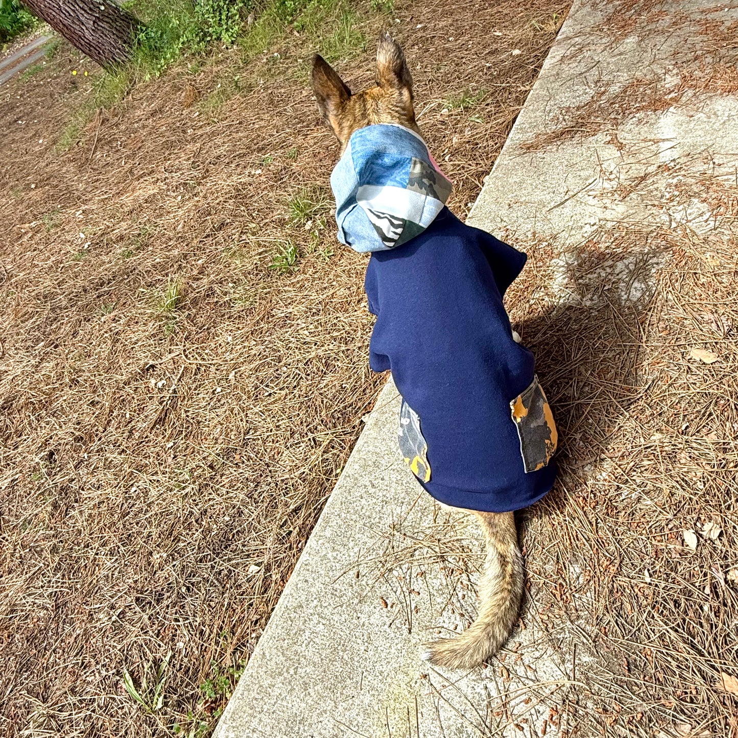 Dog Hoodie OG — Size L/XL