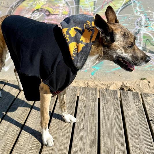 Dog Hoodie SNOOPY — Size M/L