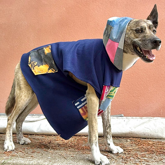 Dog Hoodie OG — Size L/XL