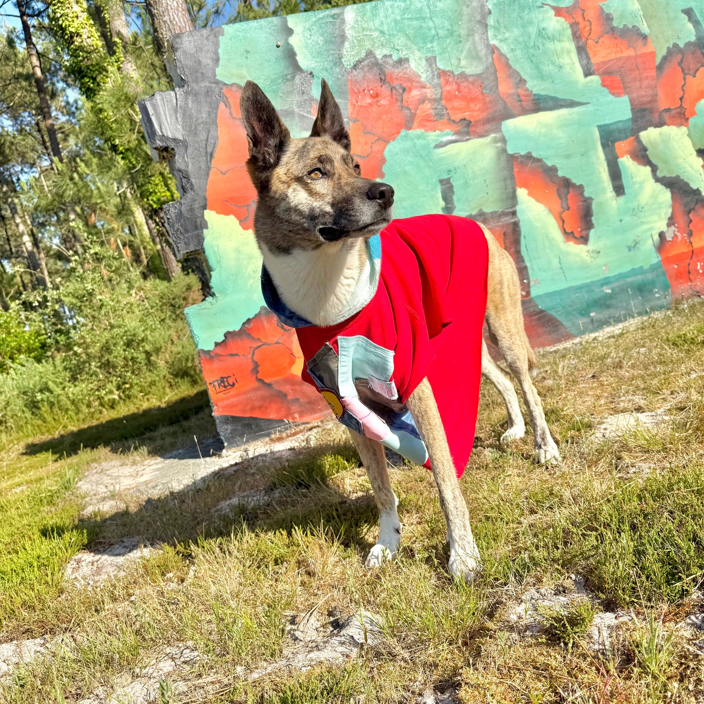 Dog Hoodie RIOT — Size L/XL