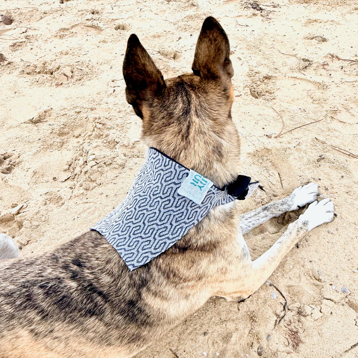 MIDNIGHT TIDE — Neoprene Dog Scarf Reversible — ONE SIZE