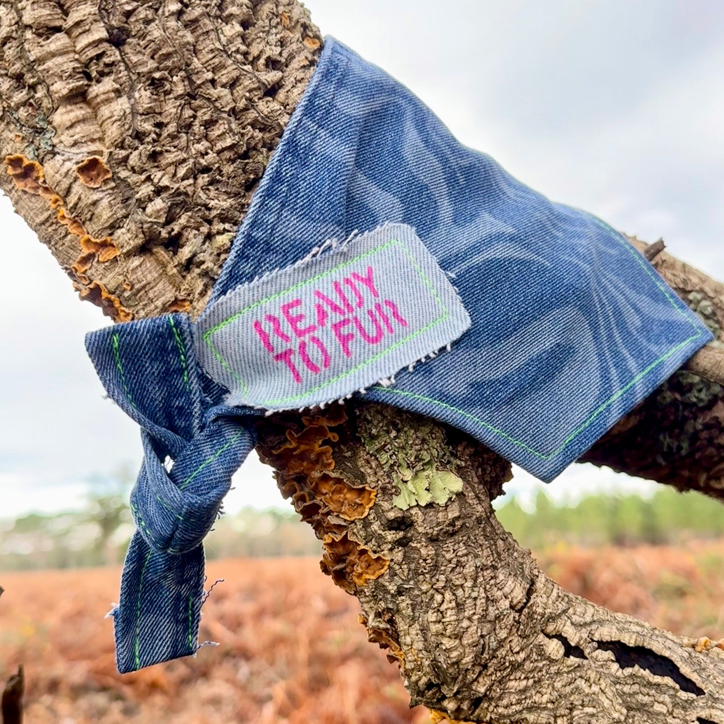 BOLT — Dog Bandana Size M