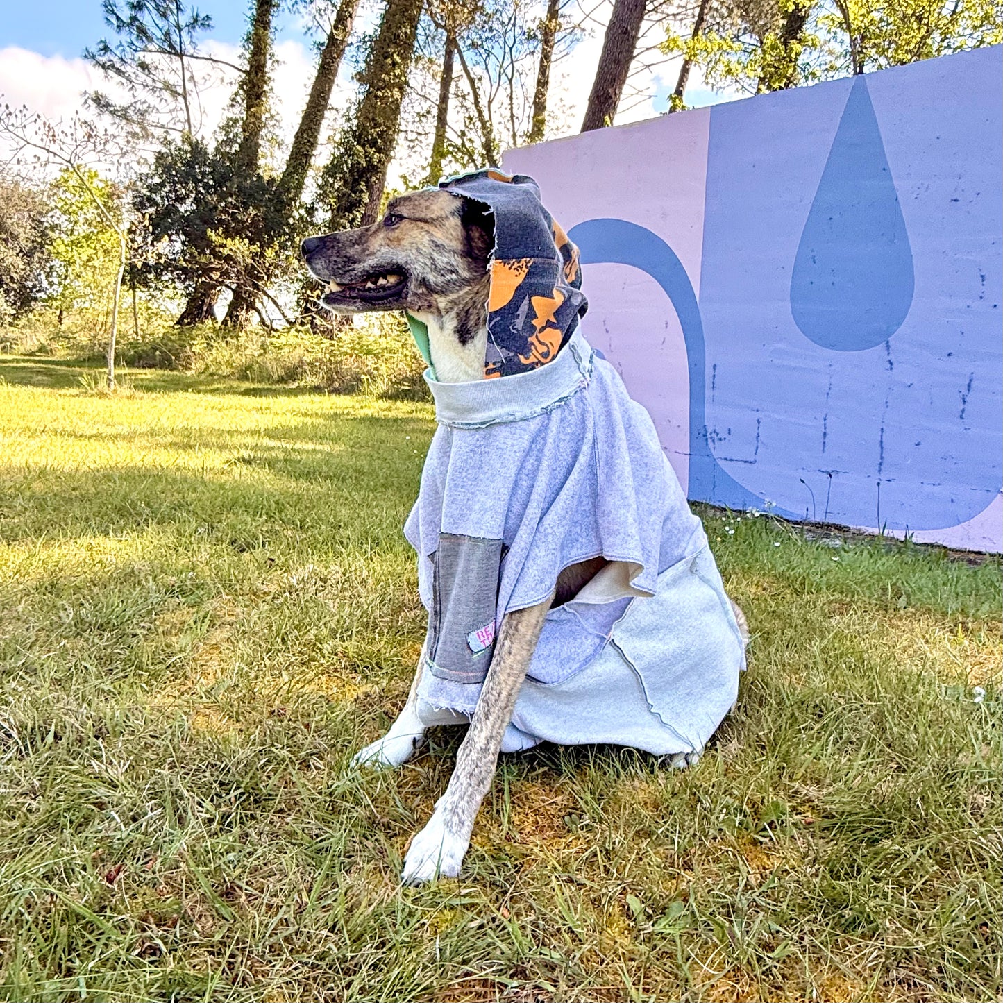 Dog Hoodie SCOUT — Size XL/2XL