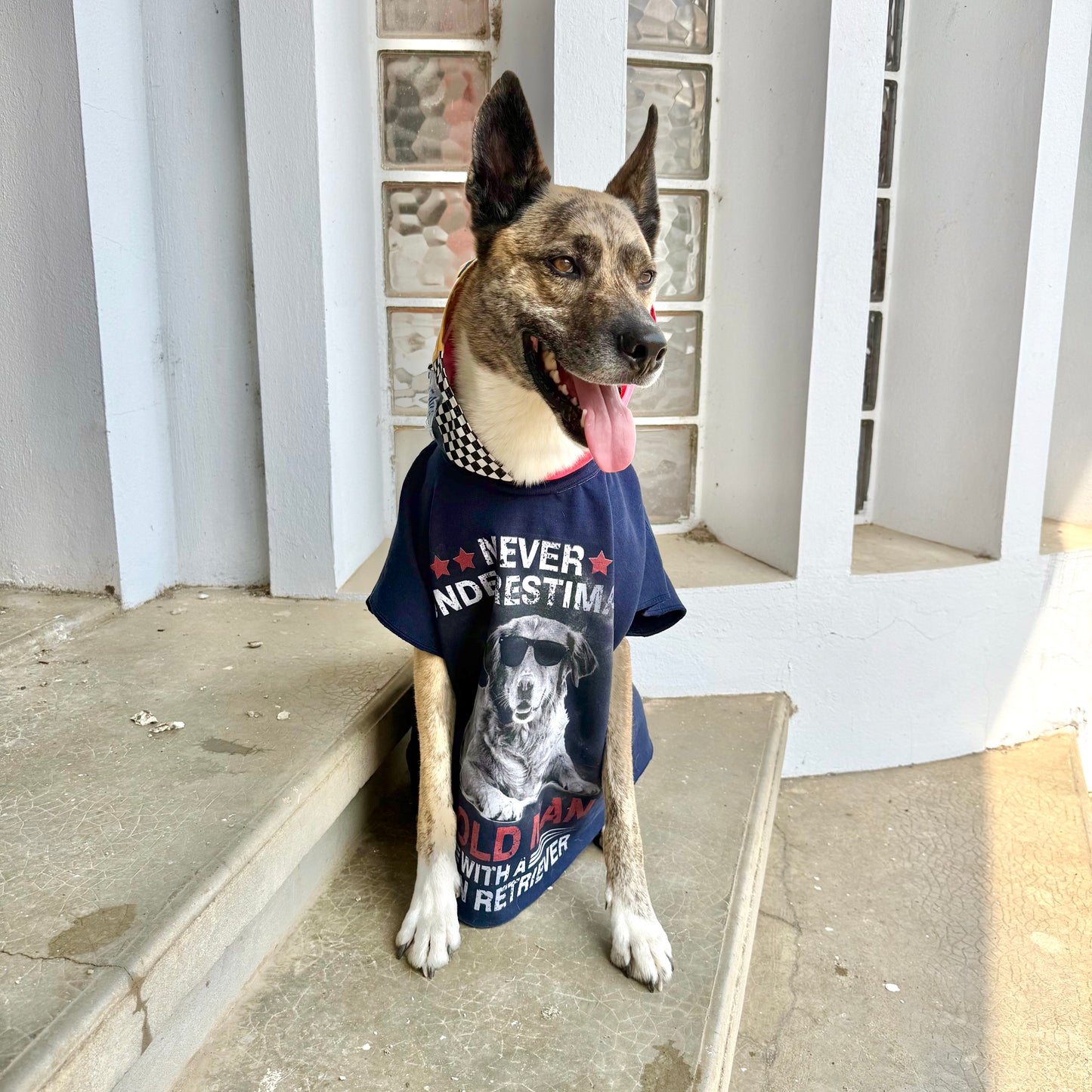 Dog Hoodie CHILL BRO — Size L/XL