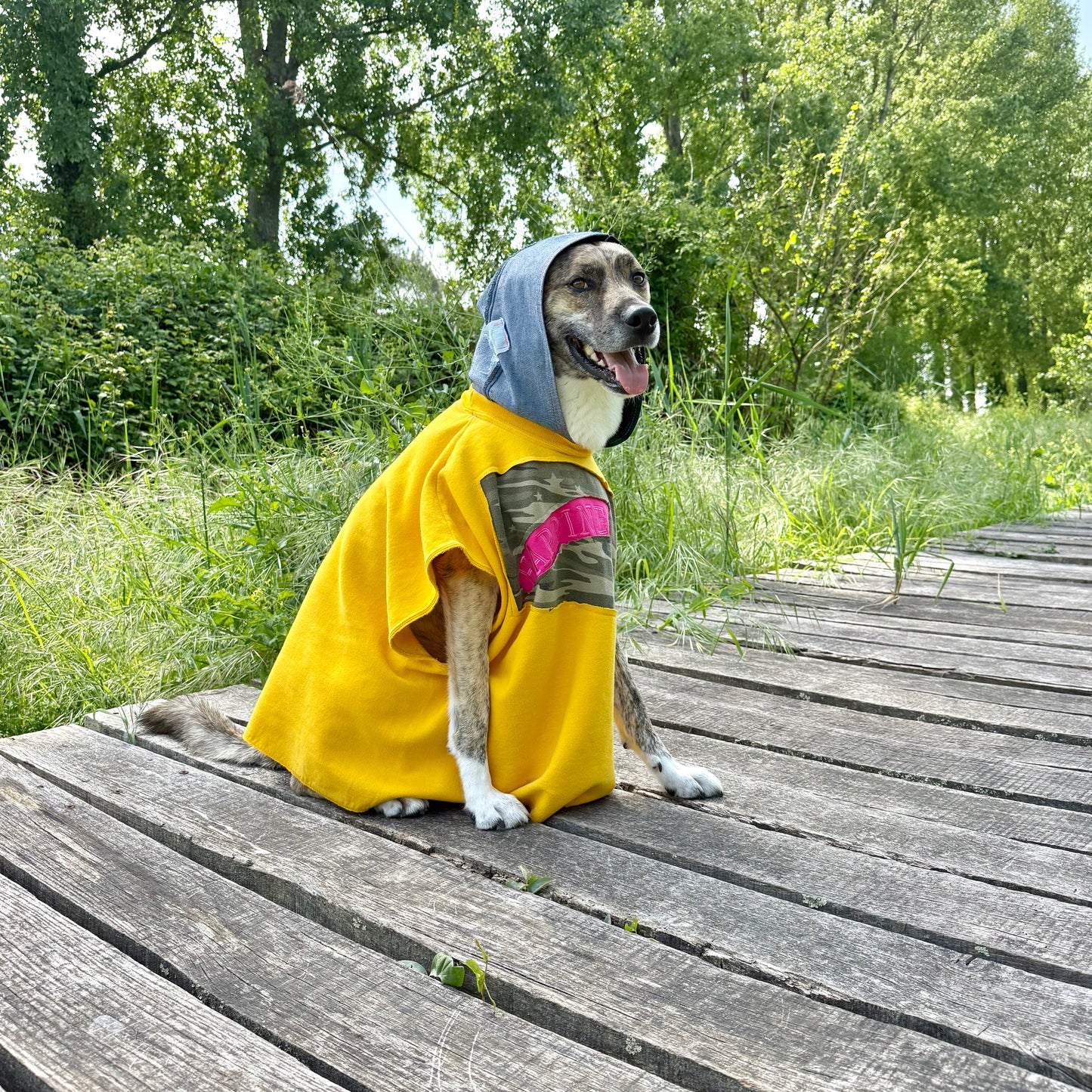 Dog Hoodie DON’T WORRY BE HAPPY — Size L/XL
