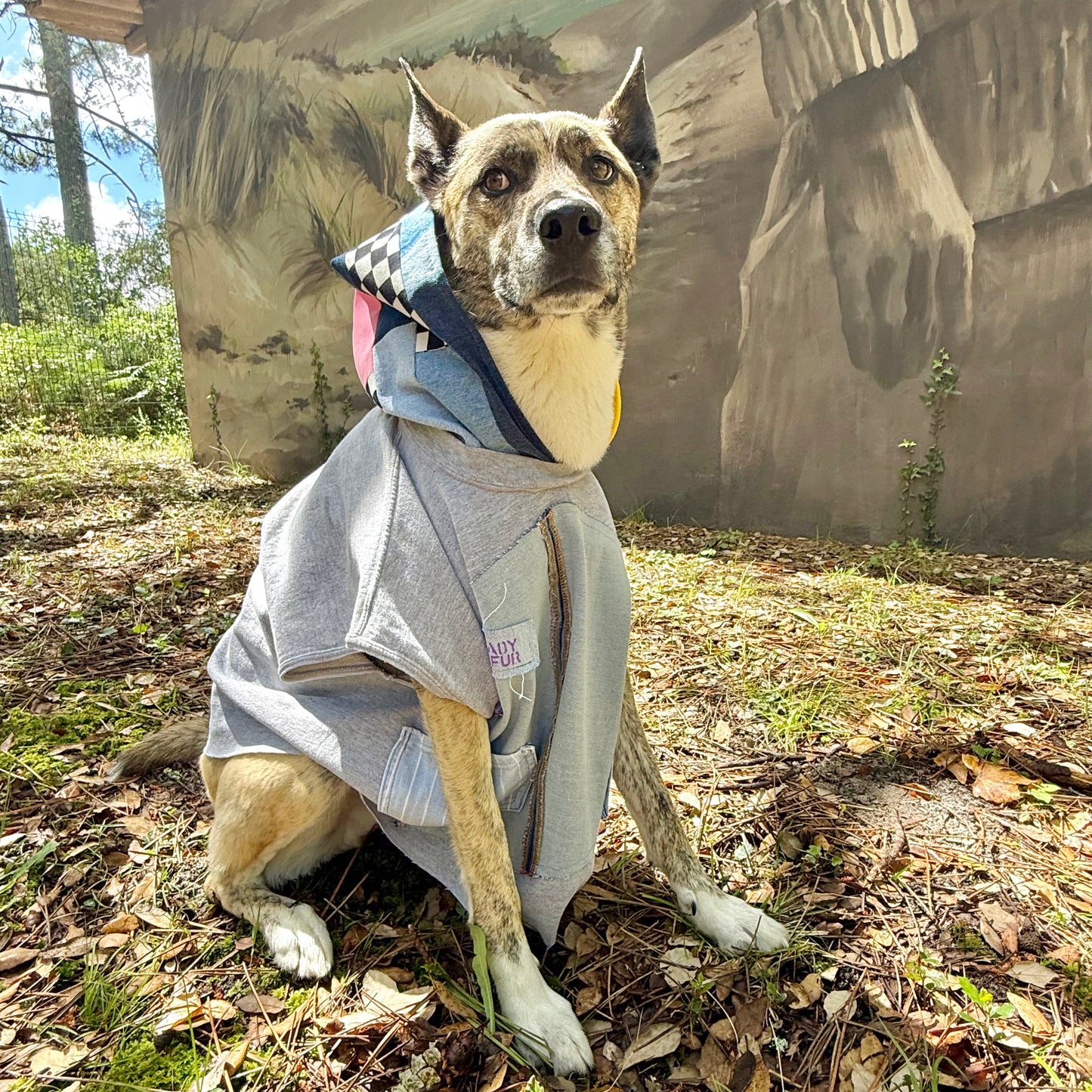 Dog Hoodie MISTY — Size M/L