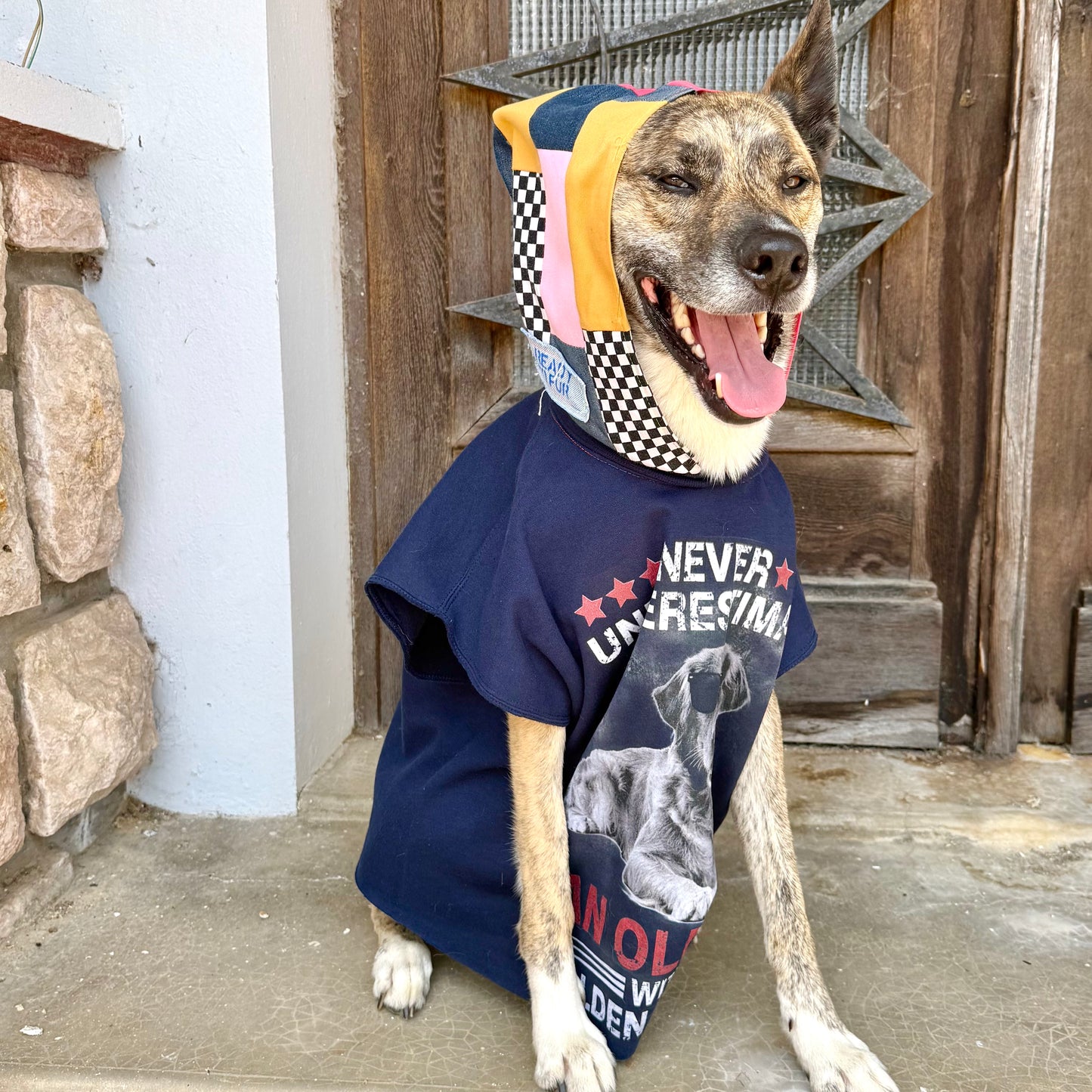 Dog Hoodie CHILL BRO — Size L/XL