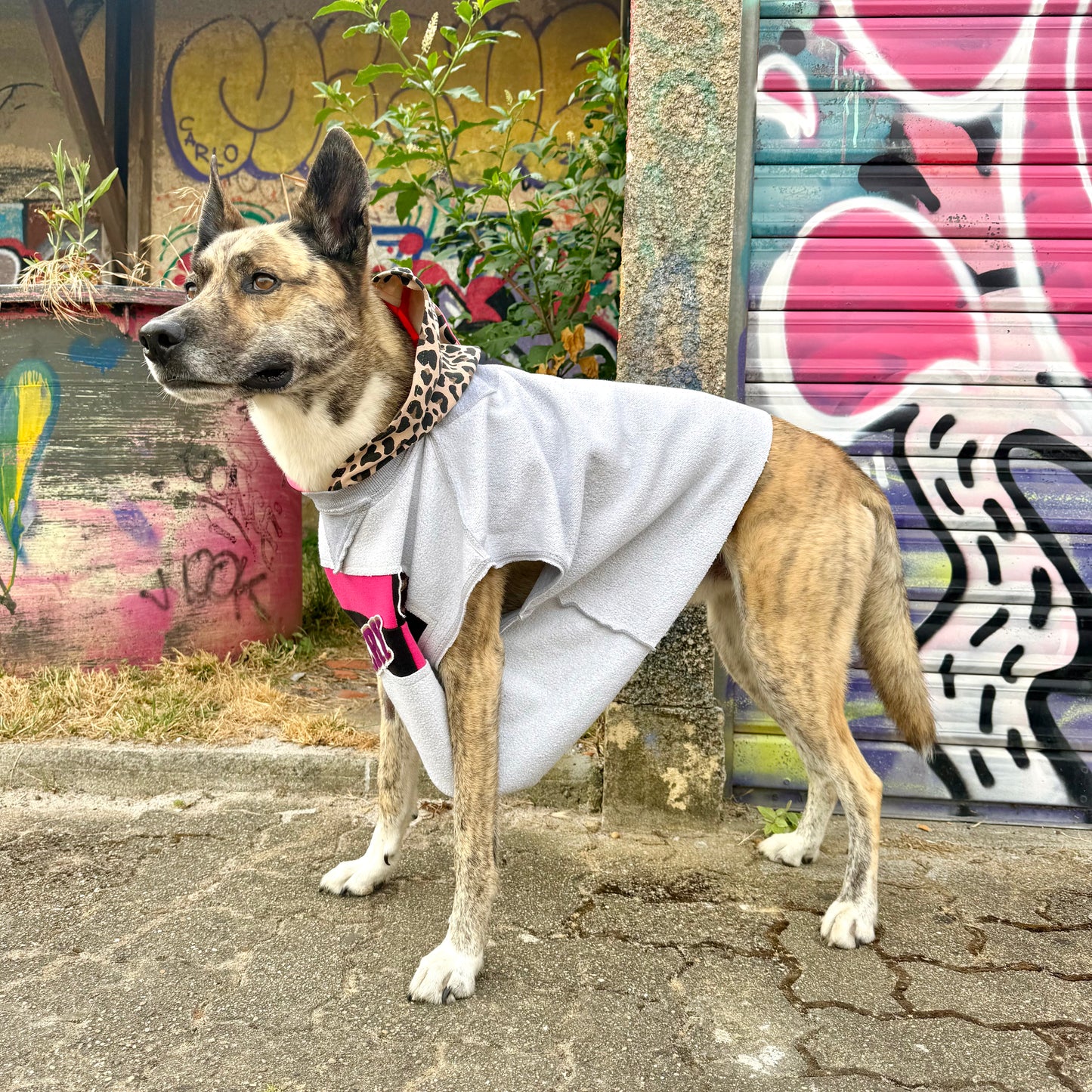 Dog Hoodie ALPHA GLAM PAWD — Size L/XL