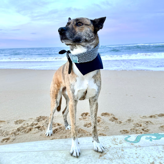 MIDNIGHT TIDE — Neoprene Dog Scarf Reversible — ONE SIZE