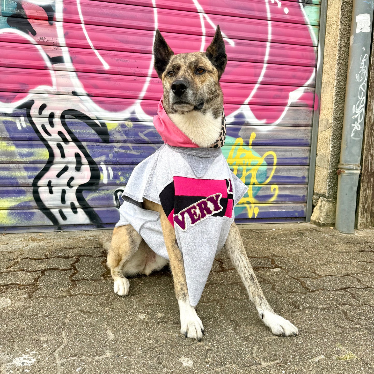 Dog Hoodie ALPHA GLAM PAWD — Size L/XL