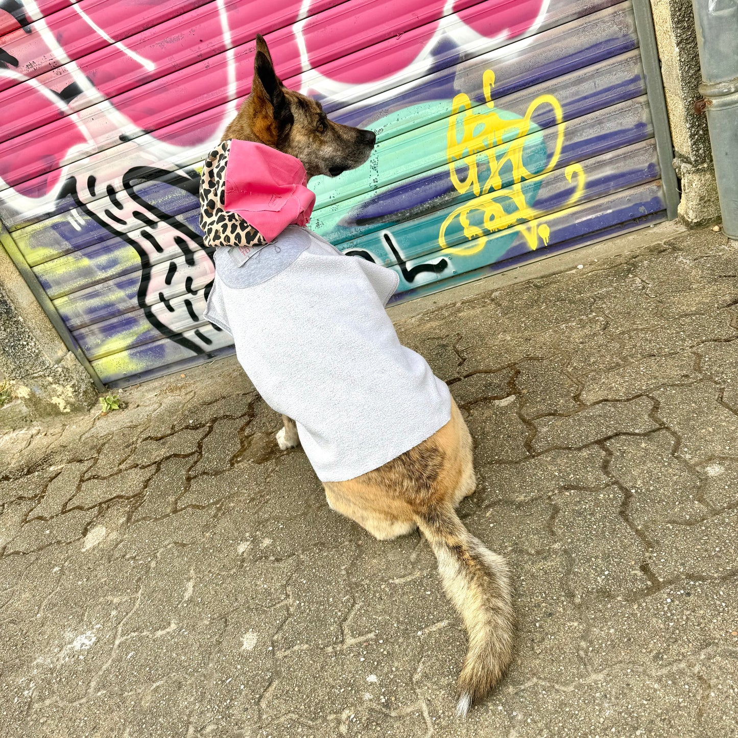 Dog Hoodie ALPHA GLAM PAWD — Size L/XL